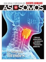 Así Somos - El cuerpo humano